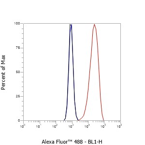 Anti-TM4SF1 Mouse mAb