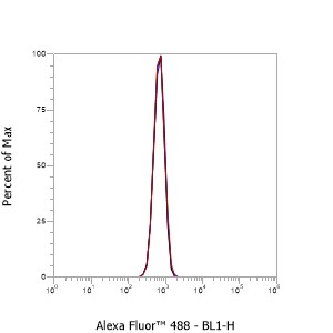 Anti-TM4SF1 Mouse mAb