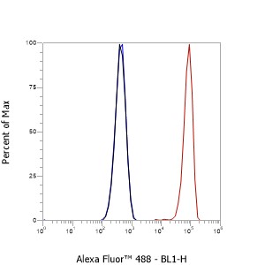 Anti-CD45 Mouse mAb
