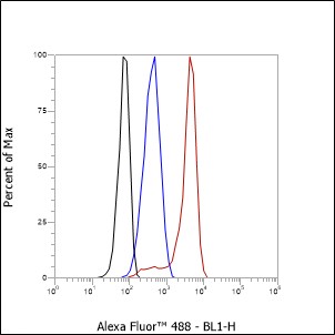 Anti-CD47 Rabbit mAb