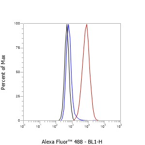 Anti-TWEAKR/FN14 Mouse mAb