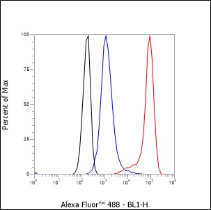 Anti-TIA1 Rabbit mAb