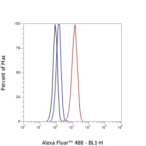 Rabbit mAb IgG Isotype Control