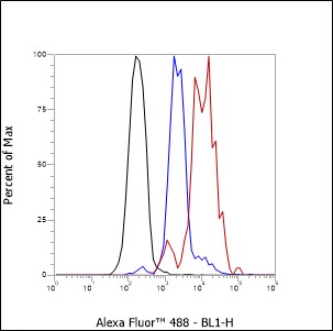 Anti-HLA-DRA Rabbit mAb