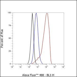 Anti-CD15/SSEA1 Mouse mAb
