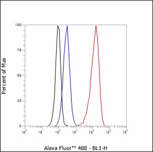 Anti-CD25 Rabbit mAb