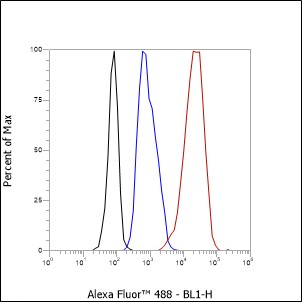 Anti-IgM Rabbit pAb