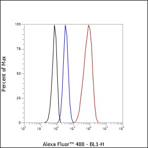 Anti-NSE Rabbit pAb