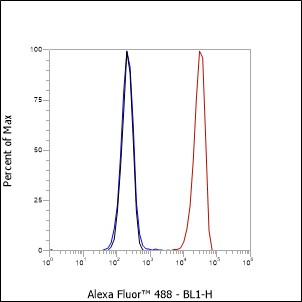 Anti-CD81 Rabbit pAb