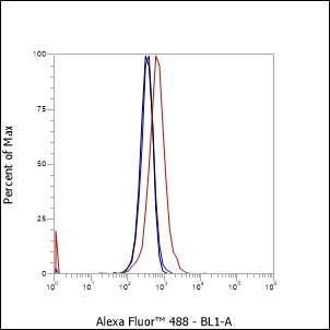 Anti-CD81 Rabbit pAb