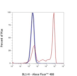 Anti-CD3 epsilon Mouse mAb