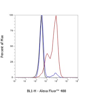 Anti-CD86 Mouse mAb