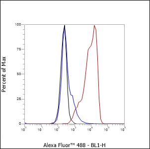 Anti-CD55 Mouse mAb