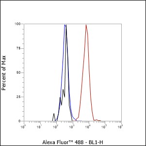 Anti-CD50/ICAM-3 Rabbit mAb