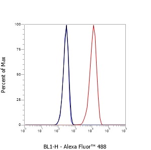 Anti-CD38 Mouse mAb