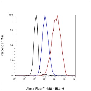 Anti-HLA-DRB1 Rabbit mAb