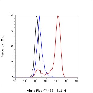 Anti-CD11b Rat mAb