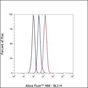 Anti-CD21 Rabbit mAb