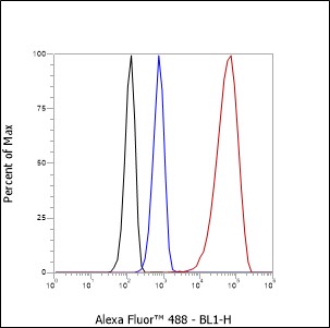 Anti-NSE Rabbit mAb