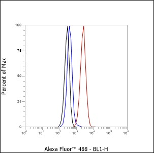 Anti-Cleaved PARP1 p85 Rabbit mAb