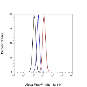 Anti-Cleaved PARP1 p85 Rabbit mAb