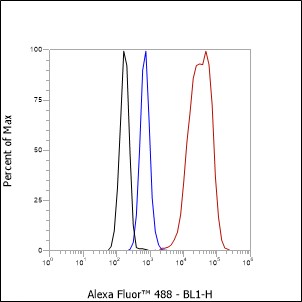 Anti-HMGB1 Rabbit mAb
