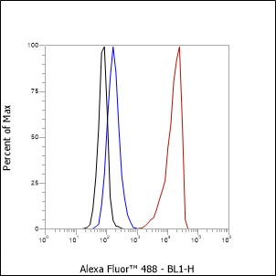 Anti-Phospho-Tau (Ser199) Rabbit mAb