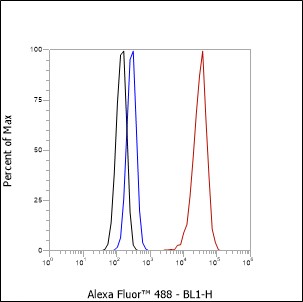 Anti-GST3/GSTP1 Rabbit mAb