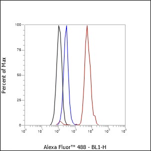 Anti-Cystatin A Rabbit mAb