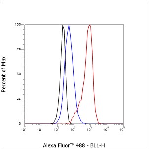 Anti-CD86 Mouse mAb