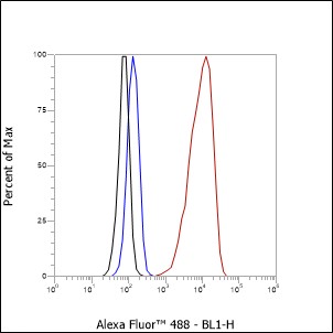 Anti-NCAM1/CD56 Rabbit mAb
