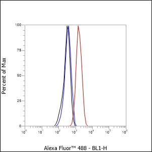 Anti-IGF1 Receptor Rabbit mAb