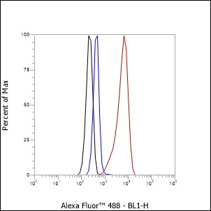 Anti-COX IV Rabbit mAb