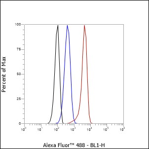 Anti-COX IV Rabbit mAb