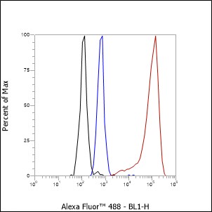 Anti-CD20 Rabbit mAb