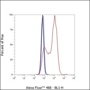 Anti-CD74 Rabbit mAb