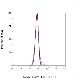 Anti-CD74 Rabbit mAb