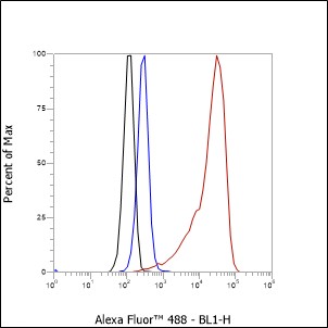 Anti-ADRA1A Rabbit mAb