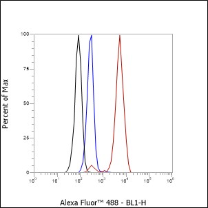 Anti-PAX5 Rabbit mAb