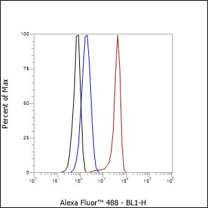 Anti-GTF2E2 Rabbit mAb