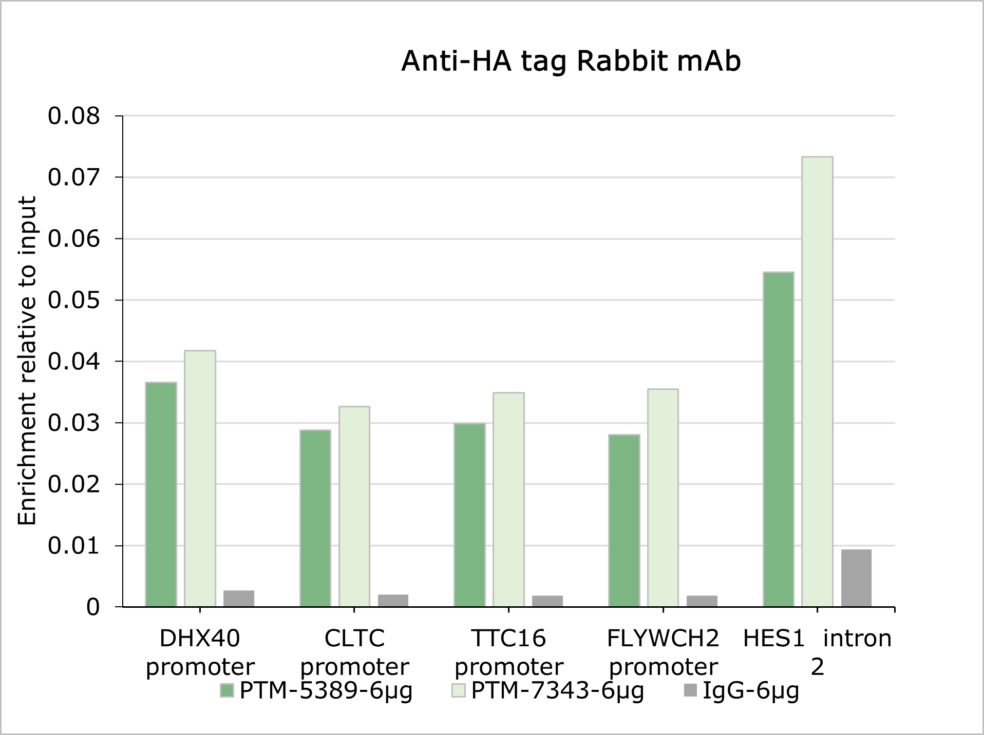 Anti-HA Tag Rabbit mAb