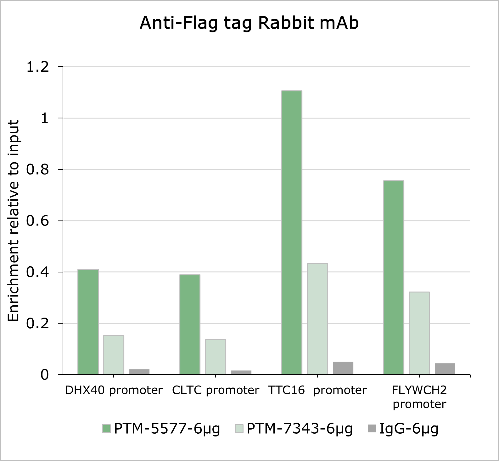 Anti-DYKDDDDK Tag Rabbit mAb (Binds to FLAG® Tag Sequence)