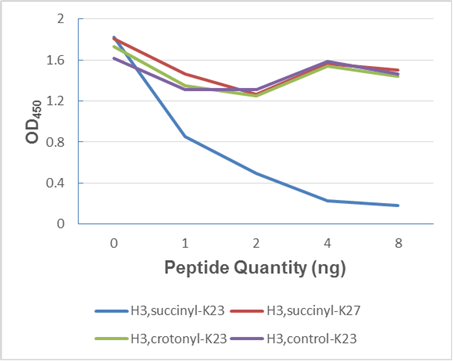 Anti-Succinyl-Histone H3 (Lys23) Mouse mAb