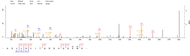 Anti-Propionyllysine Mouse mAb